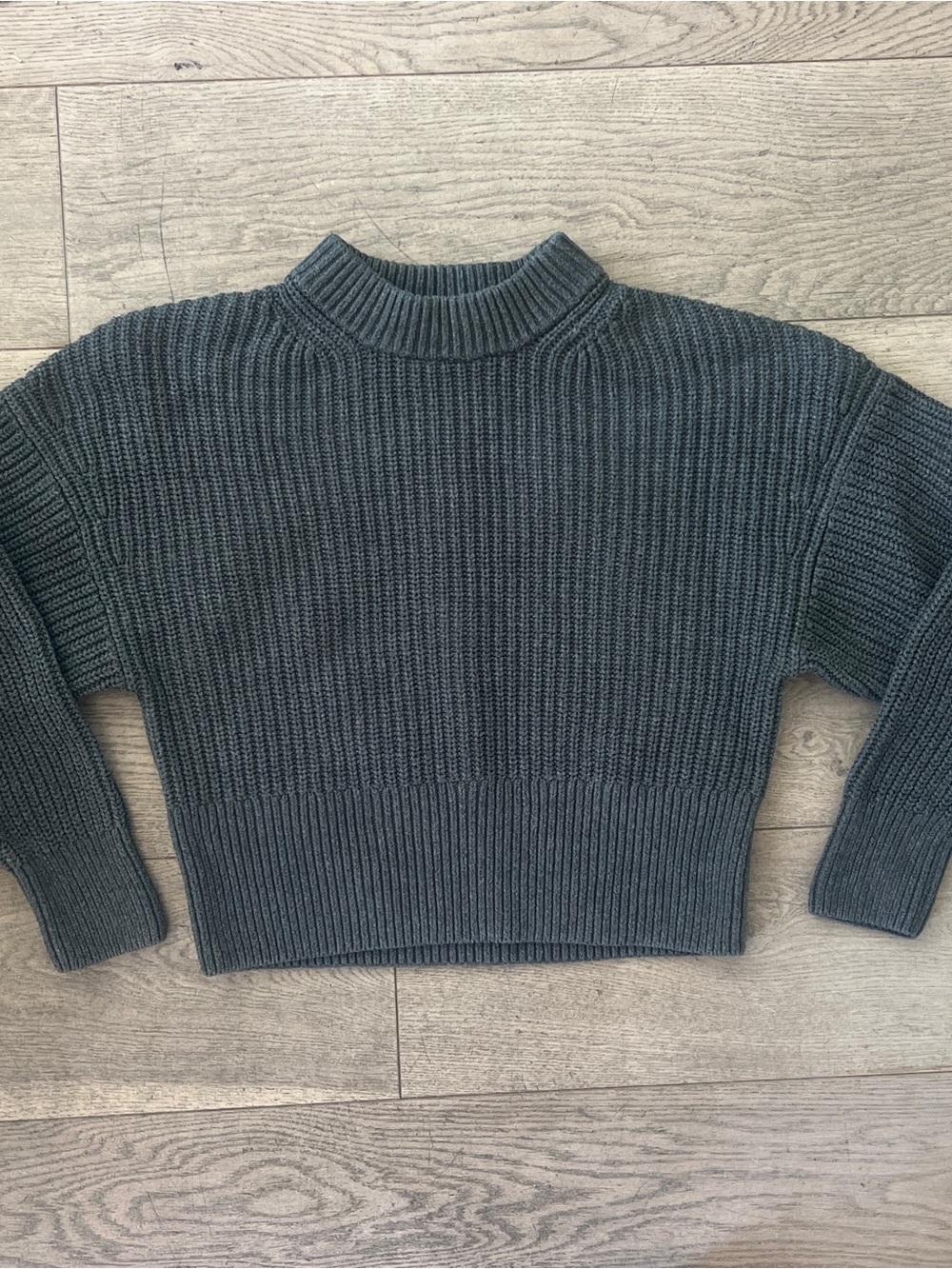 Everlane Dark Charcoal Ribbed Mock Neck Sweater